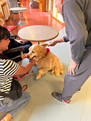 animaux dans un EHPAD,dans le cadre de la médiation animale 
