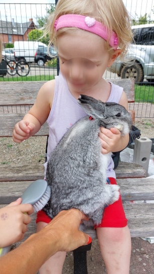 Jeux, dans une crêche, supervisée par chantal,dans le cadre de la médiation animale