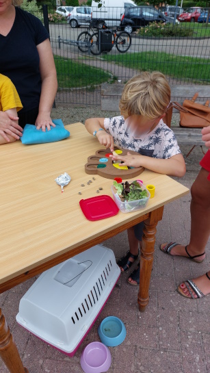 Jeux, dans une crêche, supervisée par chantal,dans le cadre de la médiation animale