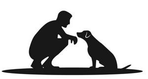 animal et humain